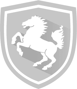 RaceChip fuel saving icon